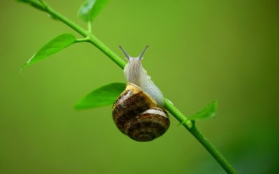 Selbstbewusstsein heißt: Langsamer werden dürfen.