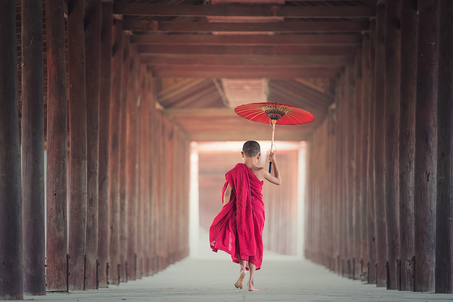 Ein asiatischer Junge läuft im roten, buddhistischen Gewand und mit rotem Schirm durch einen Gang aus Holzstämmen