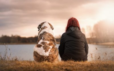 Selbstmitgefühl statt Selbstkritik – der liebevolle Weg zu mehr Gelassenheit