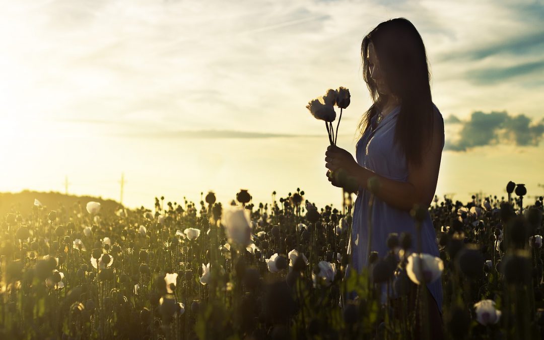 Wie Dankbarkeit dein Leben zum Erblühen bringt Frau mit zwei Blumen in der Hand im dämmrigen Blumenfeld als Sinnbild, wie Dankbarkeit unser Leben zum Erblühen bringt