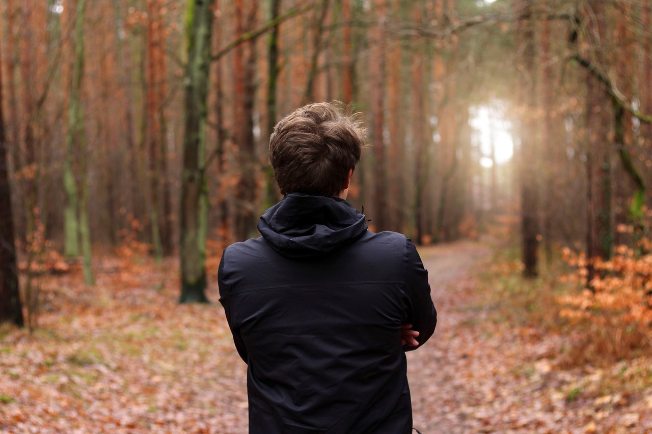 person-3928955_1280 Man im Wald schaut in die Sonne als Sinnbild für seine Intuition