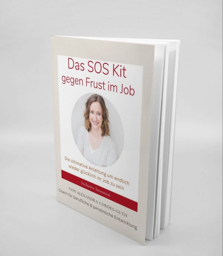 Kostenloses E-Book gegen Job Frust